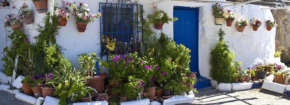 Sprachreise Malaga - Unterkunft in Nerja